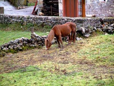 somiedo apartamentos,turismo rural,villar de vildas,casas de aldea,pornalcal,somiedo,casa rural,rurales,dormir villar de vildas, la pornalcal,vacaciones,ofertas,alojamientos rurales,hotel,hoteles,apartamento,somiedo,villar de vildas,la pornalcal,